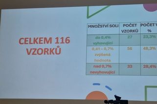Více než čtvrtina kontrolovaných škol na jižní Moravě nadmíru solila polévky - Novinky